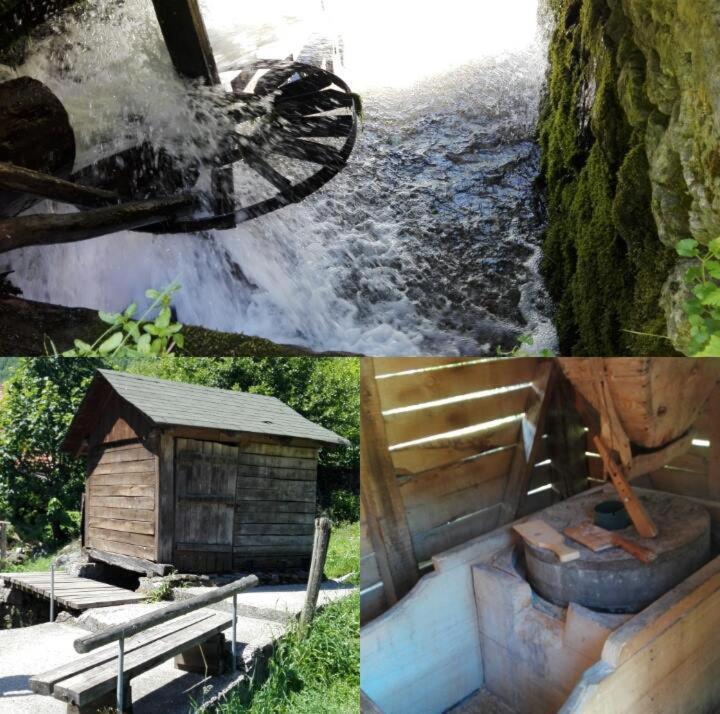 Aparthotel Kopaonik Brzeće 외부 사진